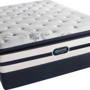 Dumont Plush Pillow Top