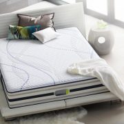 Dumont Plush Pillow Top