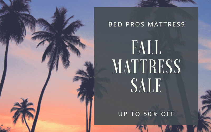 bed pros mattress carrollwood tampa