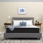 Sealy Gel Memory Foam with Adjustable Bed